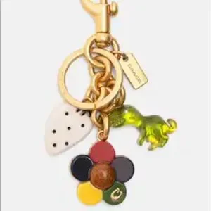 Coach Accessories Nwt Coach Limited Edition Cluster Bag Charm